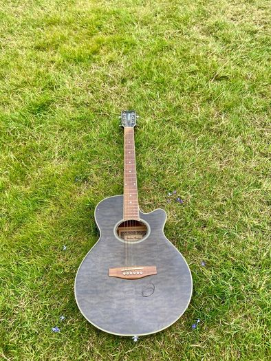Harley benton guitar