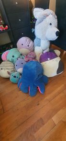 Assortment of stuffed toys