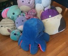 Assortment of stuffed toys