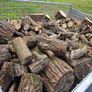 Firewood Sticks Delivered Image 3