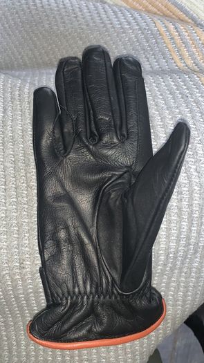 Equine gloves