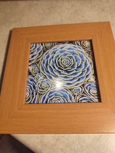 Lovely Small Framed Blue Flower Print.