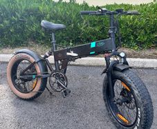 Fiido M21 48V250W Fat Tire Electric Bike, Very Good Condition, Ready to go