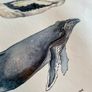 Poster of Greenlandic Animals Image 2