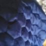 Soft Velour Sapphire Blue Cushion Covers x5 Image 4