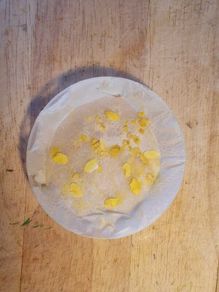 Slime Mould