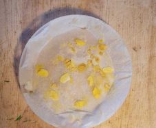 Slime Mould