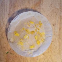 Slime Mould