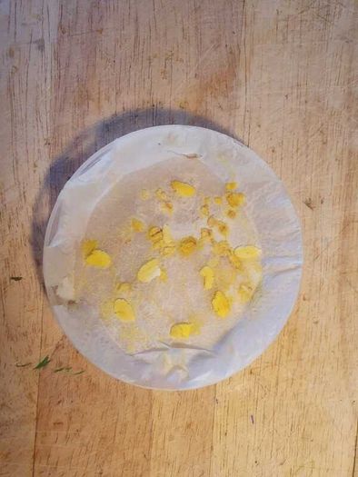 Slime Mould
