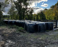 silage