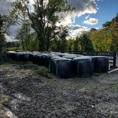 silage