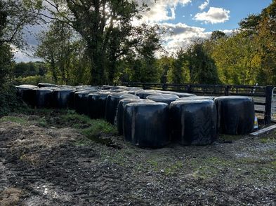 Silage For Sale in Rosenallis, Laois from Conorflanagan56