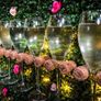Prosecco wall Image 2