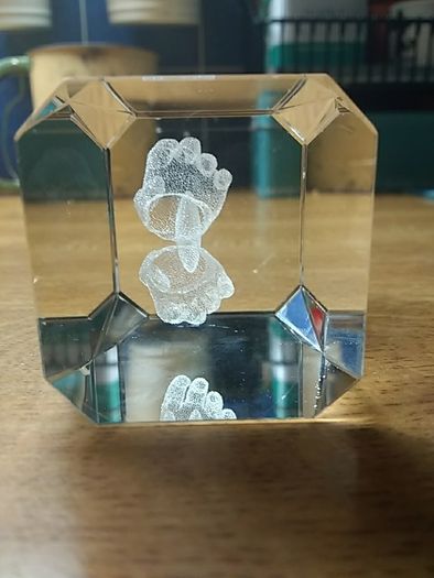 Two  3D Glass Paperweights
