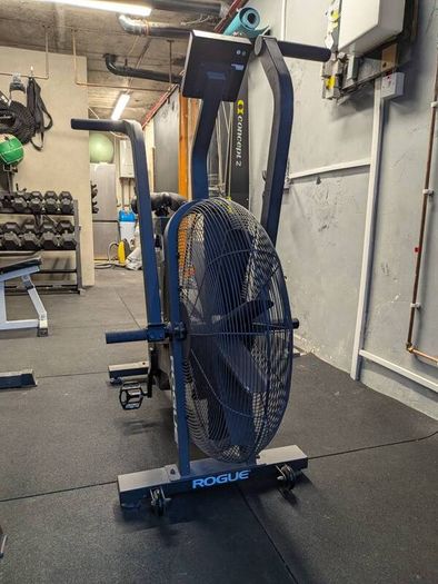 Assault Bike Rogue Echo