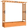 Raised bed with trellis and roof, for flowers, fruits, vegetables, herbs, 196 x 44 x 181 cm, wood, Orange Image 3