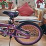 Childrens Bicycle 20" Image 4