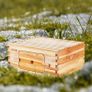 Bee Hive Deep Box Starter Kit, 100% Beeswax Coated Natural Fir Wood, Langstroth Beehive Kit with 10 Frames and Foundations, Transparent Acrylic Bee Windows for Beginners and Pro Beekeepers Image 8