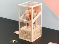 main image for ad Acrylic Makeup Brush Storage Box With White Pearl(plastic)