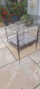 Large dog crate with bed