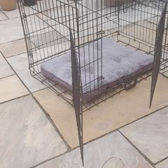 Large dog crate with bed