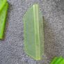 Xbox 360 Green Plastic Game Cases Image 10