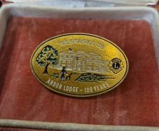 Lions Club International Nebraska 38 Arbor Lodge 100 Years Pin Pinback
