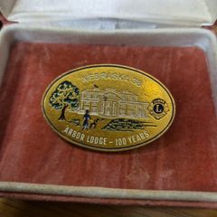 Lions Club International Nebraska 38 Arbor Lodge 100 Years Pin Pinback