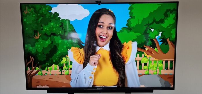 Sony Bravia 49" 4K HDR Smart TV