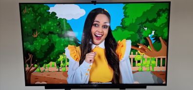 Sony Bravia 49" 4K HDR Smart TV