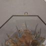 Glass Pressed Flower Hexagonal Wall Decor Image 6