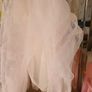 Party dress / Confirmation Image 7