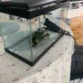 fish tank Image 2