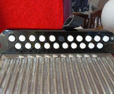 Hohner black dot double ray accorfion