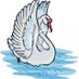 cygnet