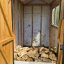 Garden Shed Image 4