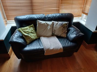 two leather sofas