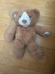 Garry Fleming's Talking Honeypot Teddy Bear Soft Plush Book Toy "Bear Feels"
