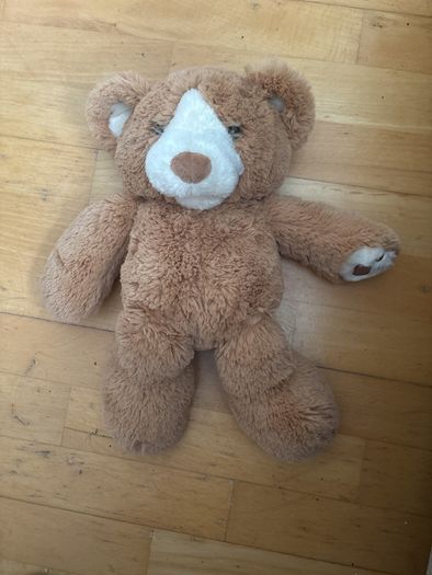 Garry Fleming's Talking Honeypot Teddy Bear Soft Plush Book Toy "Bear Feels"