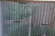 Honda 2001-2005 parts / door glass