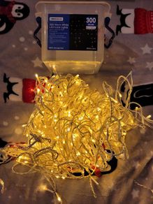 Christmas lights 300