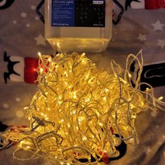 Christmas lights 300