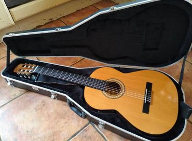 Alvaro N 800E Spanish Classical Guitar with Fishman Pickup