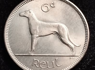 Ireland - 1953 - 6 Pence - Wolfhound - UNC - KM.13a - [2692]