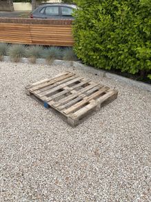 (Free) Pallet, good condition