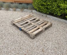 (Free) Pallet, good condition