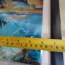 Lovely Framed Print Of Dolphin Sea Life Marine. Image 6