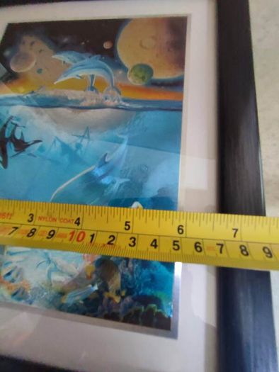 Lovely Framed Print Of Dolphin Sea Life Marine.