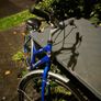 ladies bike Image 2