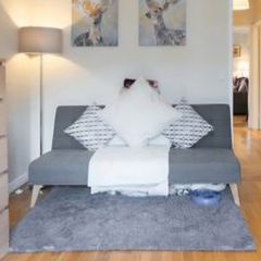 Sofa Bed
